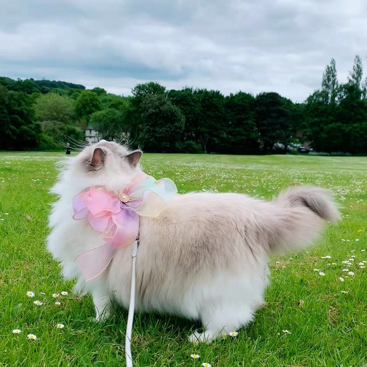 Butterfly Design Retractable Pet Leash With Free Movement Control