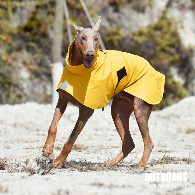 Waterproof Windproof Raincoat Jacket For Pets