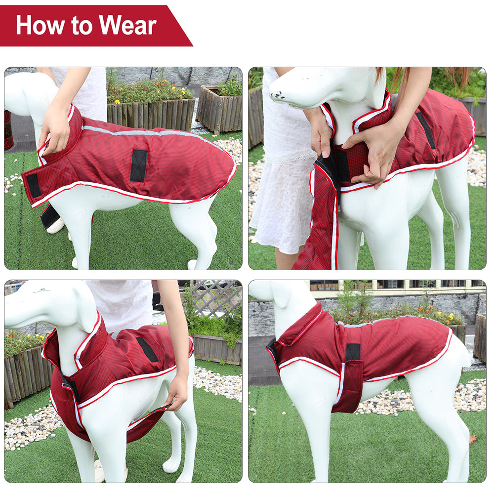 Pet Warm Leisure Waterproof Winter Jacket
