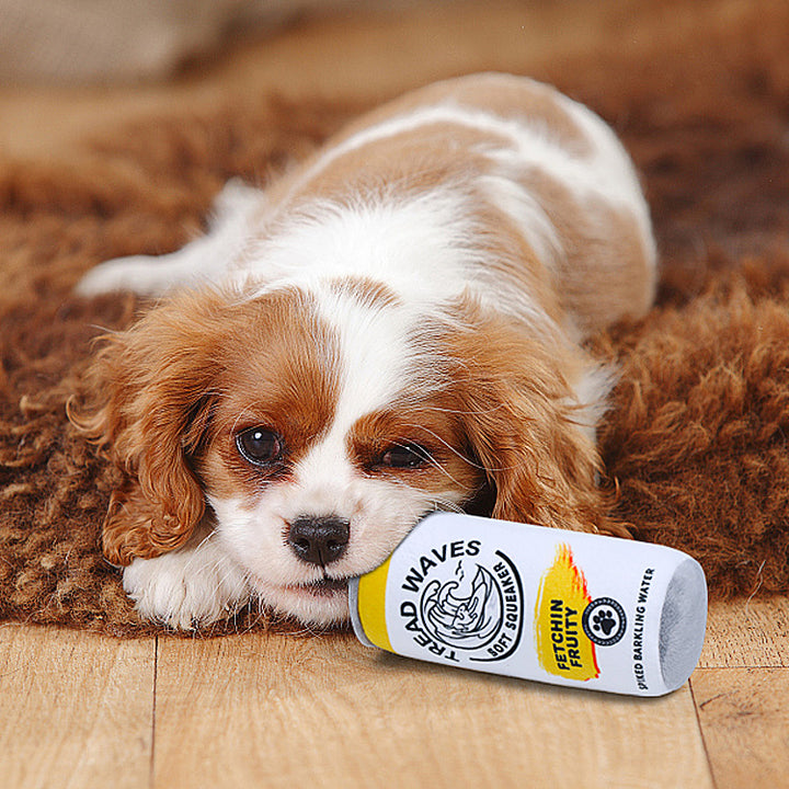 Pet Personalized Fashion Wholesale Vocal Can Toys