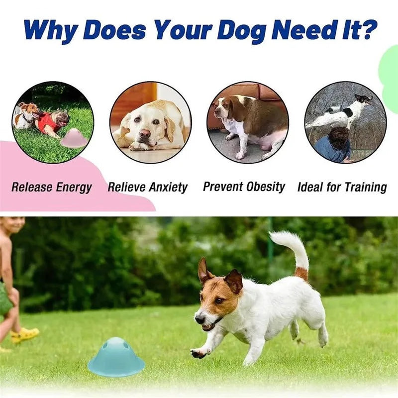 Pet Chew Interactive Treat Puzzle Toy Hidden Snack Dispensing