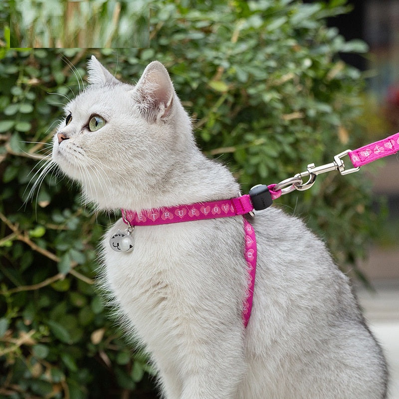 Pet Chest Strap Leash Vest With Bell For Small Pets