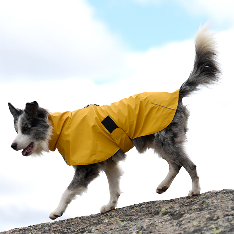 Waterproof Windproof Raincoat Jacket For Pets